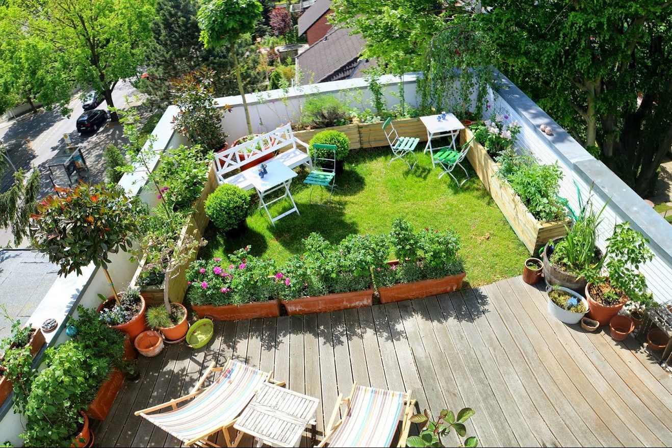 Tips Mendesain Taman Rumah  Minimalis  di Rooftop 